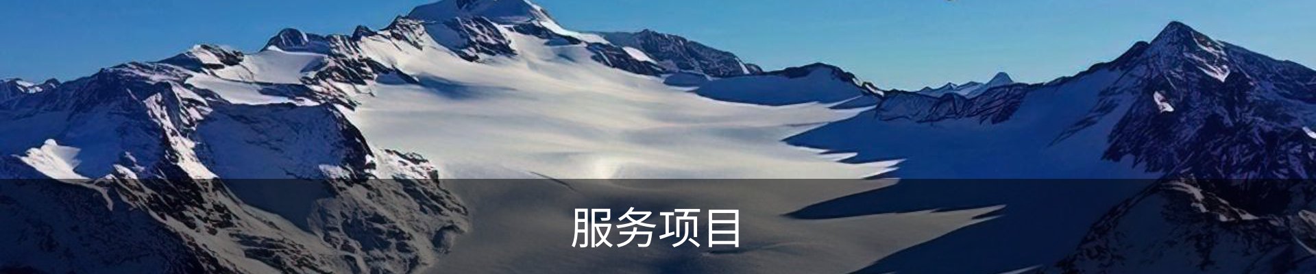 服务项目
