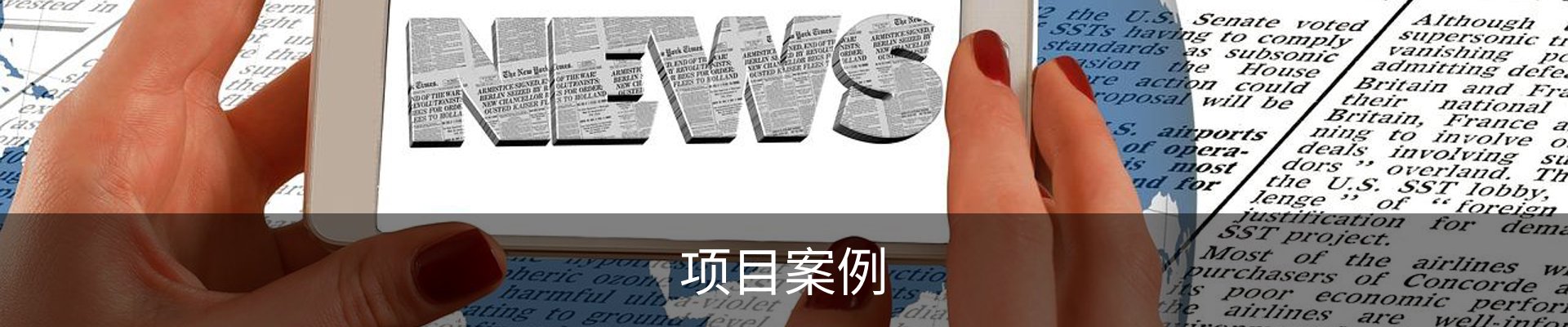 项目案例
